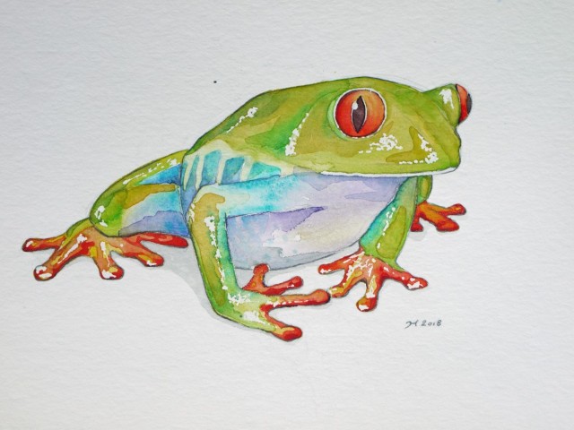 Aquarellbild eines grünen Frosches vor weissem Hintergrund